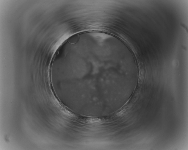 X0000103461291200809261832