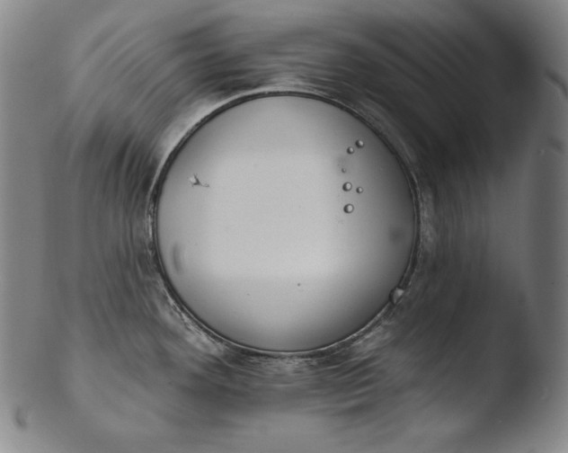 X0000103461292200809261832