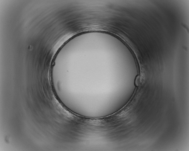 X0000103461293200809261832