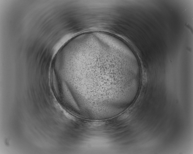 X0000103461294200809261832