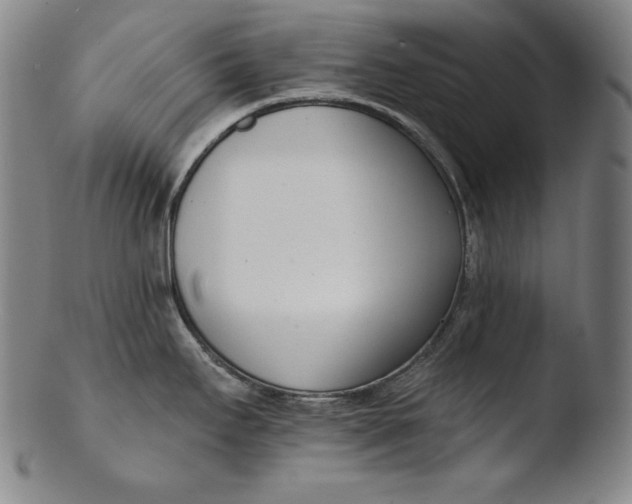 X0000103461295200809261832