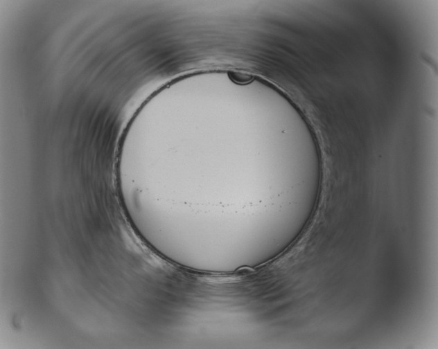 X0000103461296200809261832