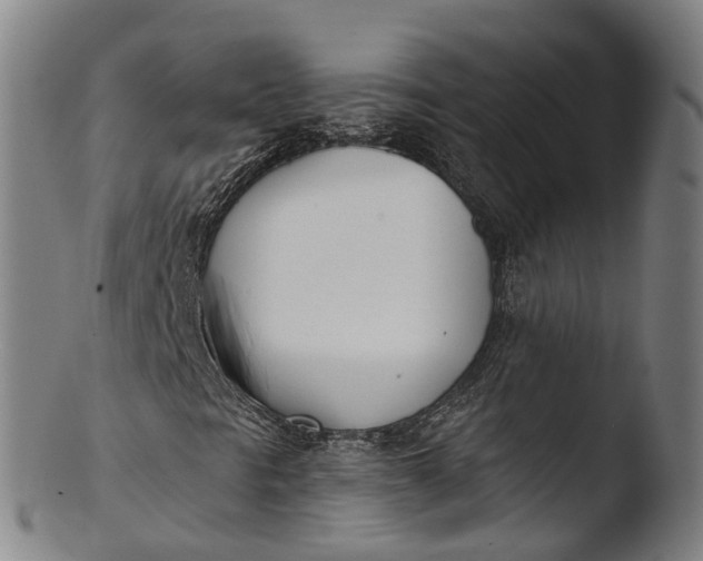 X0000103461297200809261831