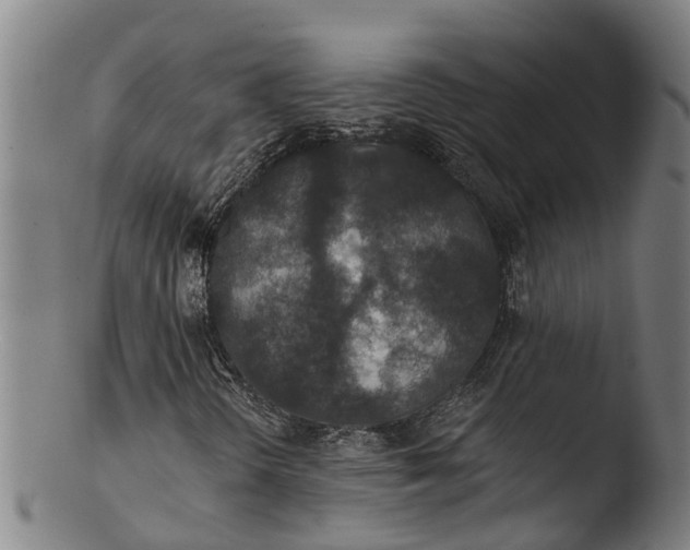 X0000103461298200809261831