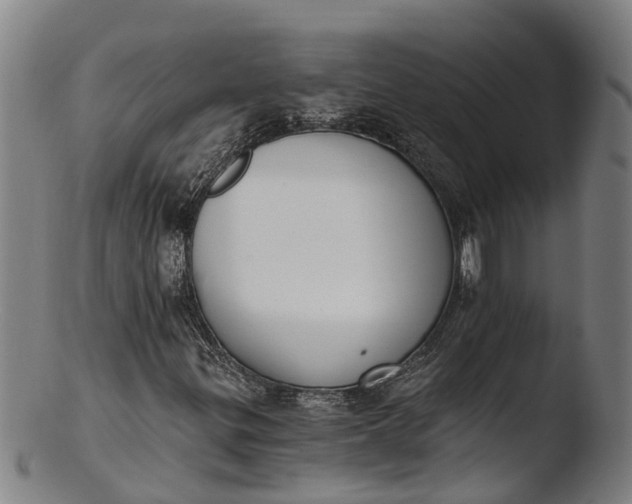 X0000103461299200809261831