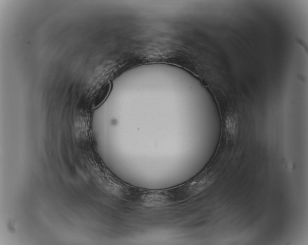 X0000103461300200809261831