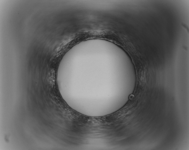 X0000103461301200809261831