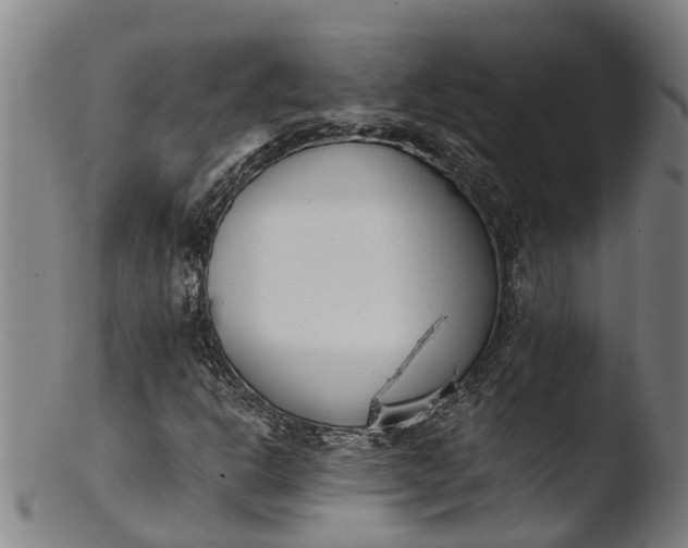 X0000103461302200809261831