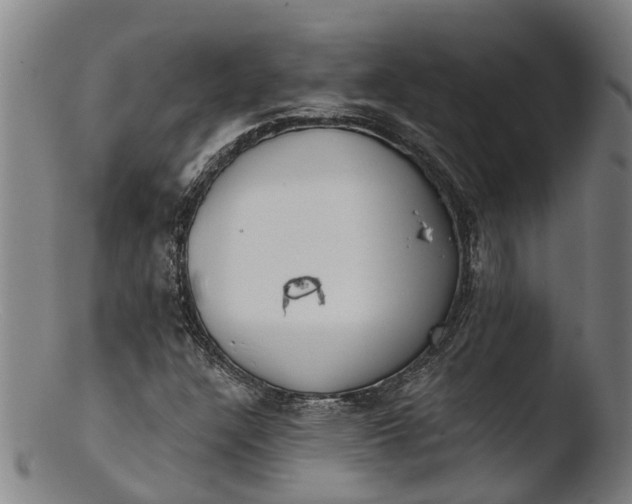 X0000103461304200809261831