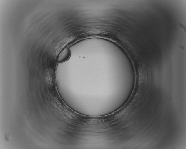 X0000103461305200809261831