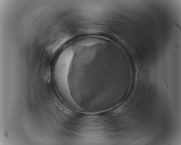 X0000103461306200809261831