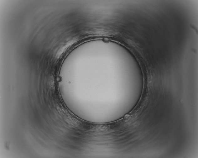 X0000103461307200809261831