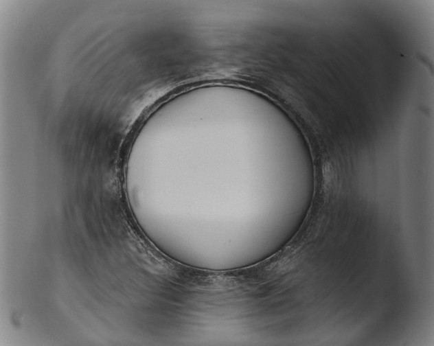 X0000103461308200809261831