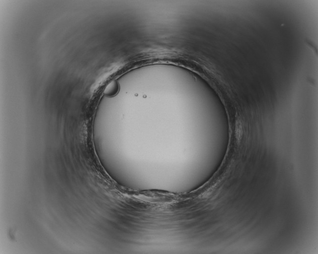 X0000103461309200809261831