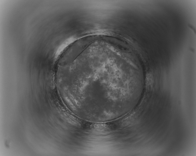 X0000103461310200809261831