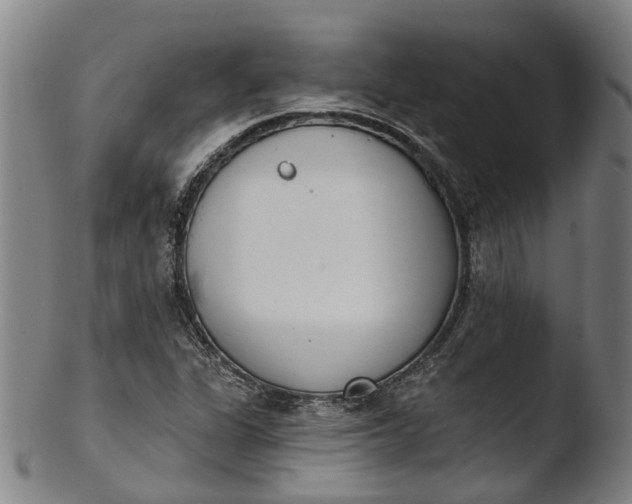 X0000103461311200809261831