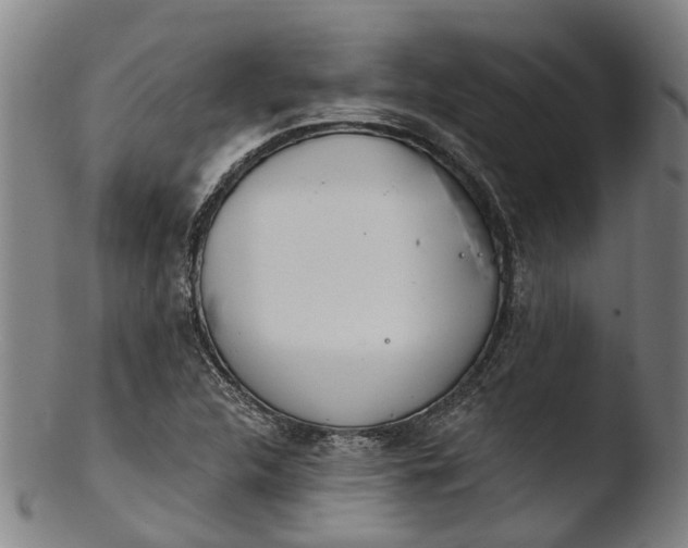 X0000103461312200809261831