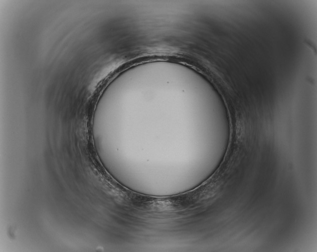 X0000103461315200809261831