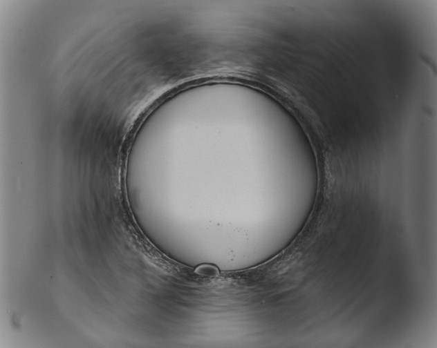 X0000103461316200809261831