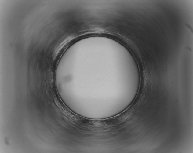 X0000103461318200809261831