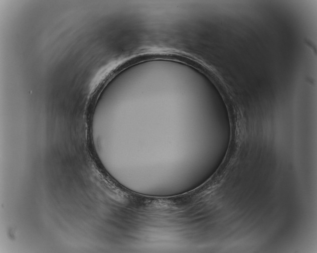 X0000103461319200809261831