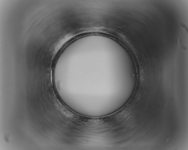 X0000103461320200809261831