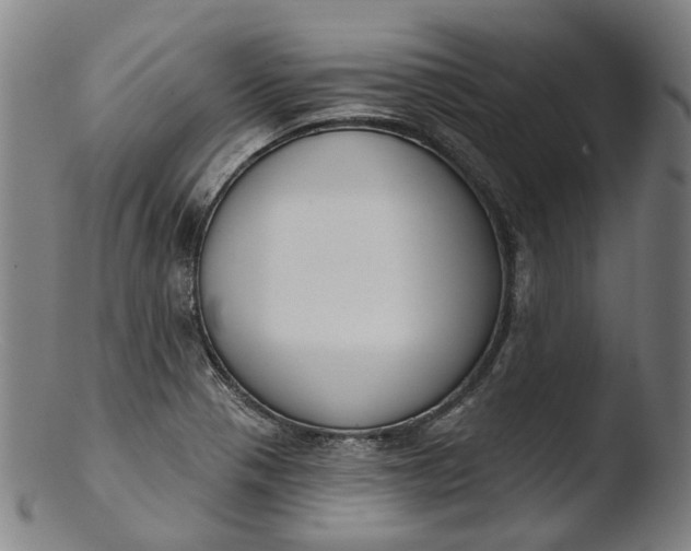 X0000103461321200809261831