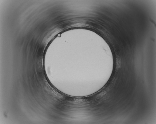 X0000103461322200809261831