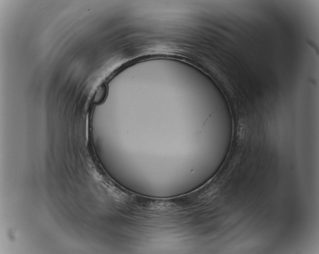 X0000103461323200809261831