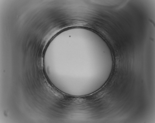 X0000103461324200809261831