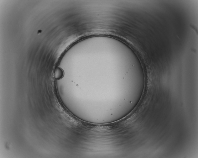 X0000103461325200809261831