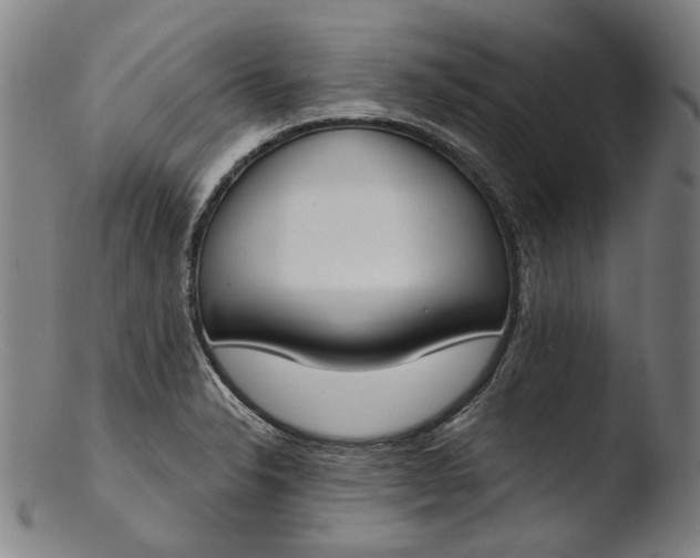 X0000103461326200809261831