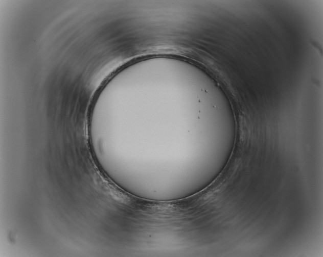 X0000103461328200809261831