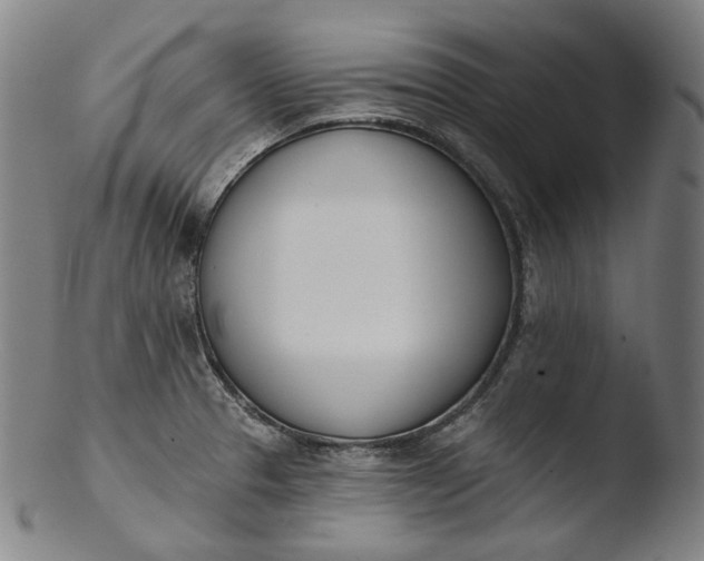 X0000103461329200809261831