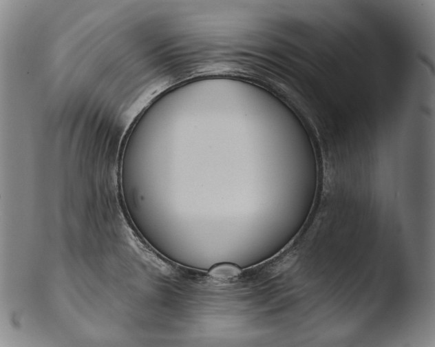 X0000103461330200809261831