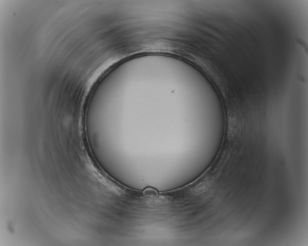 X0000103461331200809261831