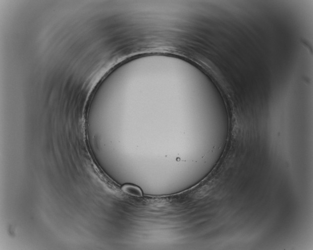 X0000103461332200809261831