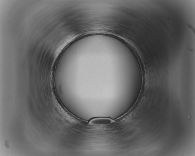 X0000103461333200809261831