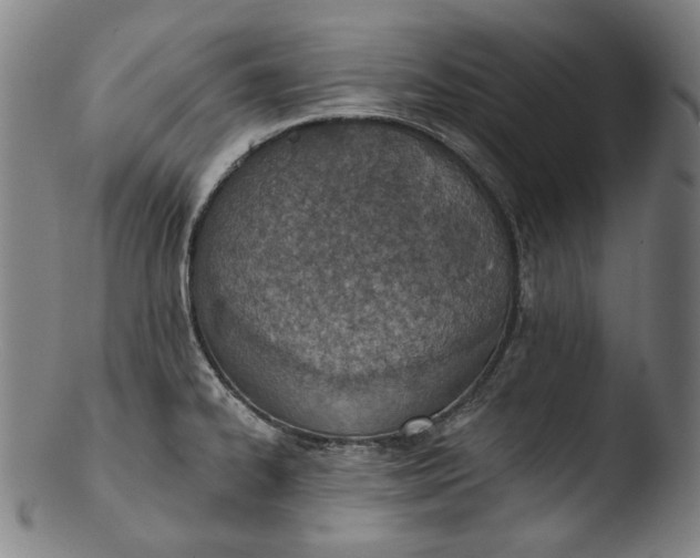 X0000103461334200809261831