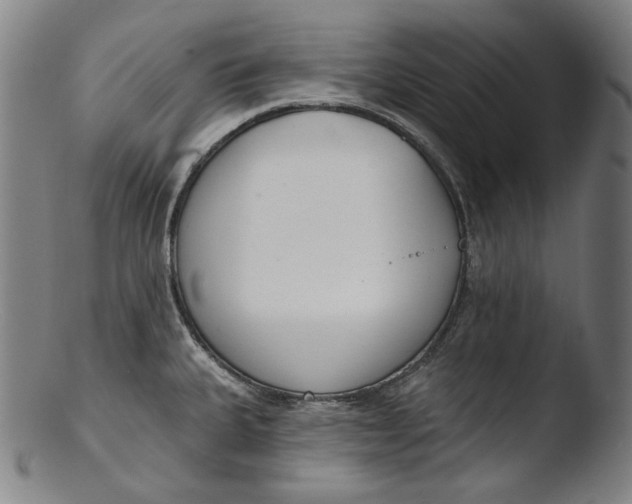 X0000103461335200809261831