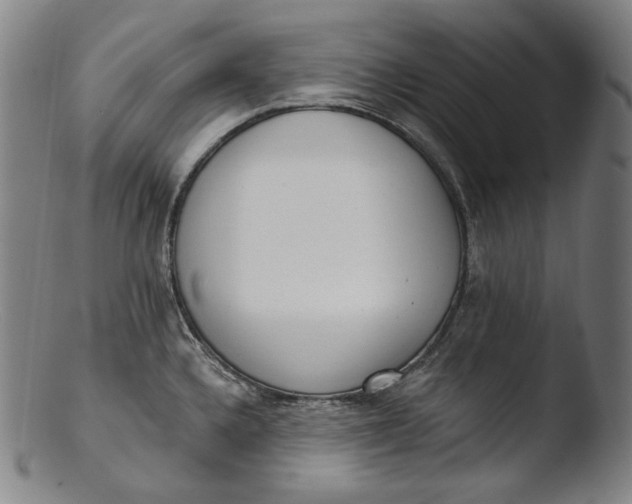 X0000103461336200809261831