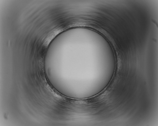 X0000103461337200809261832