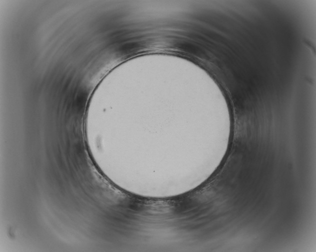 X0000103461338200809261832