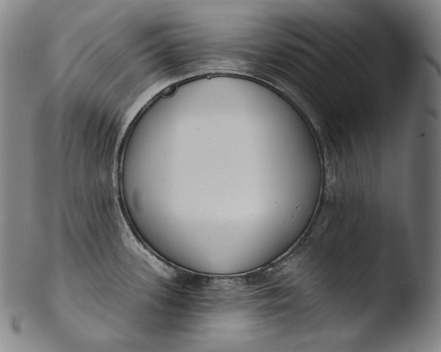 X0000103461339200809261832