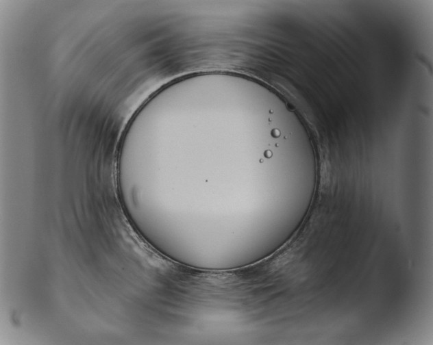 X0000103461340200809261832