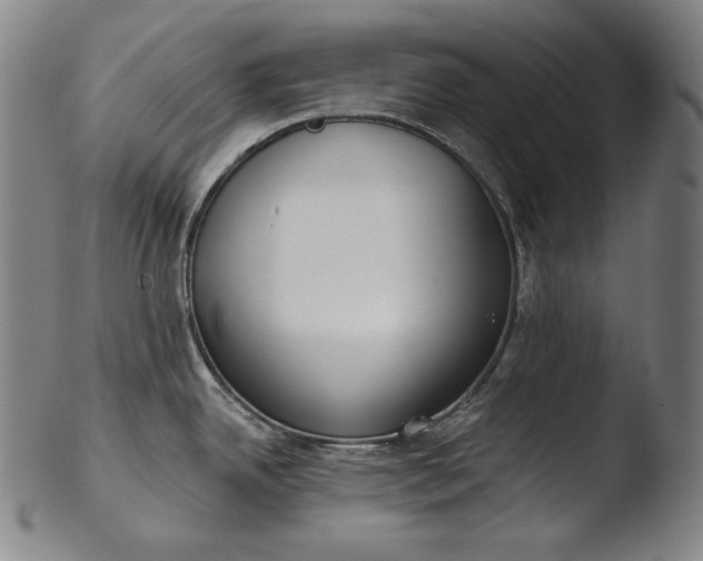 X0000103461342200809261832