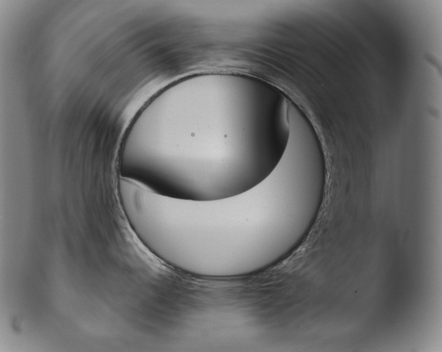 X0000103461344200809261832