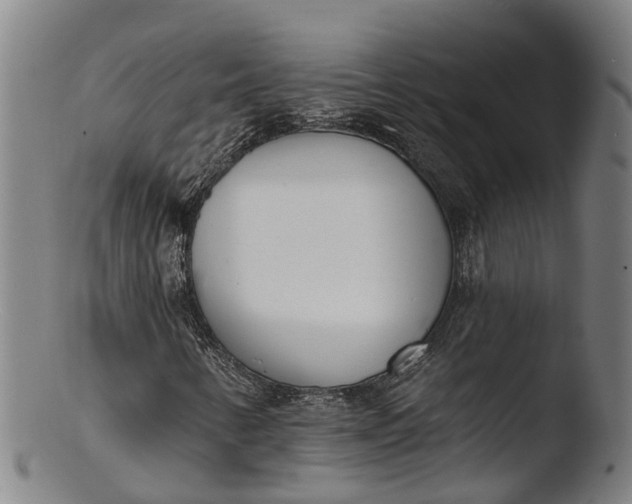 X0000103461346200809261831