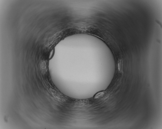 X0000103461347200809261831