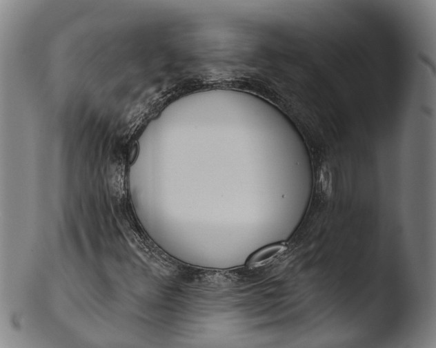 X0000103461348200809261831